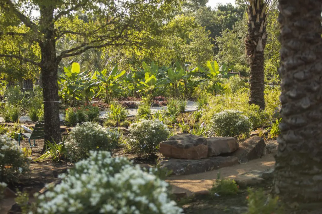 A view to the Tropical Heart Garden in the Global Collection Garden. (Photo by Michael Tims)