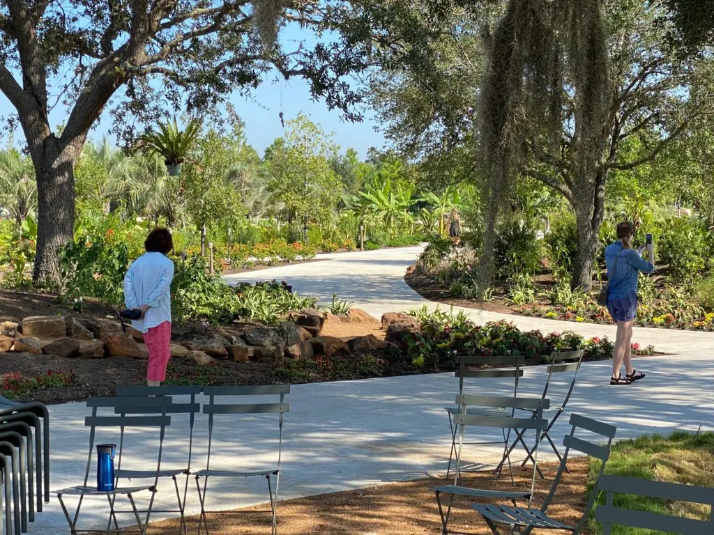 The Pine Grove leads visitors to the Global Collection Garden. (Photo by Shelby Hodge)