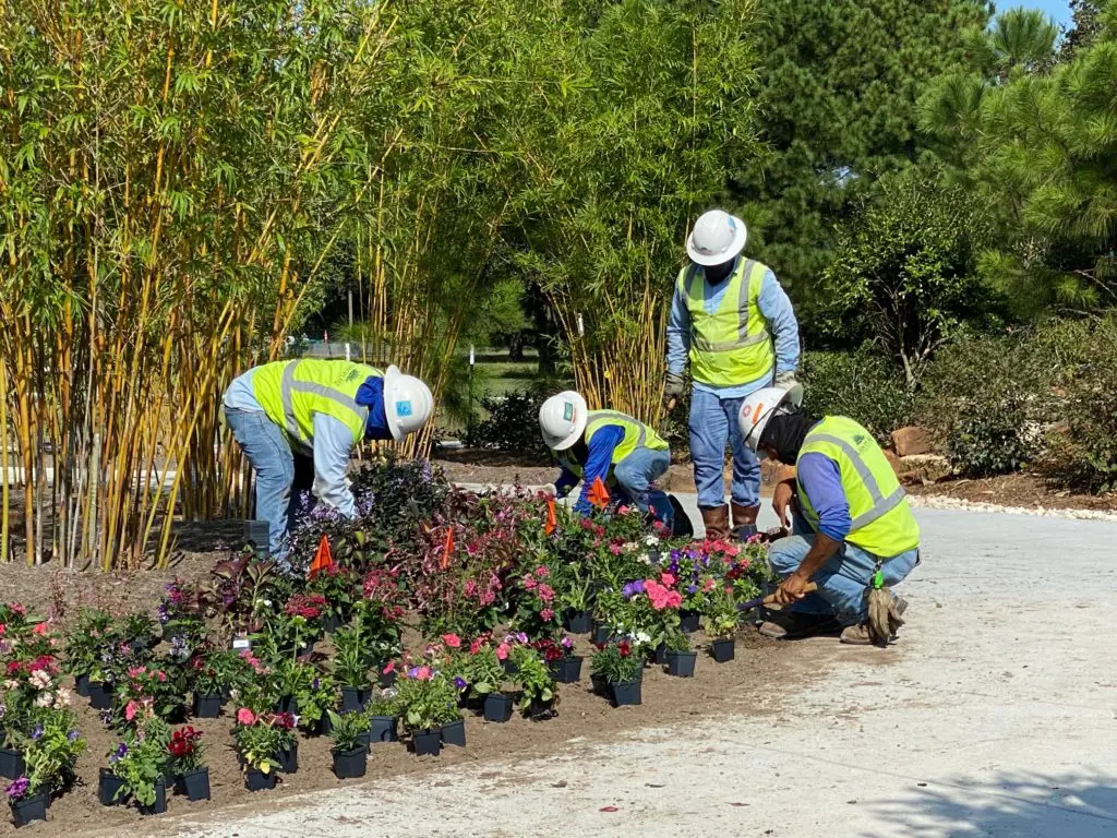 Three days before the official opening of Houston Botanic Garden, workers scurried to complete plantings. (Photo by Shelby Hodge)