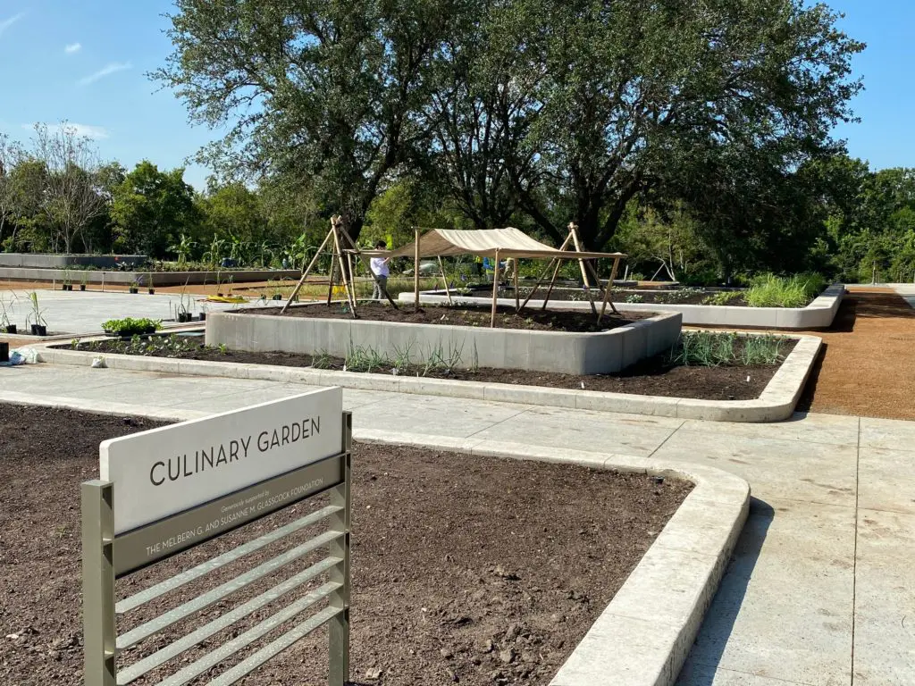 Planting is still underway in the Culinary Garden where edible and medicinal plants will flourish. (Photo by Shelby Hodge)