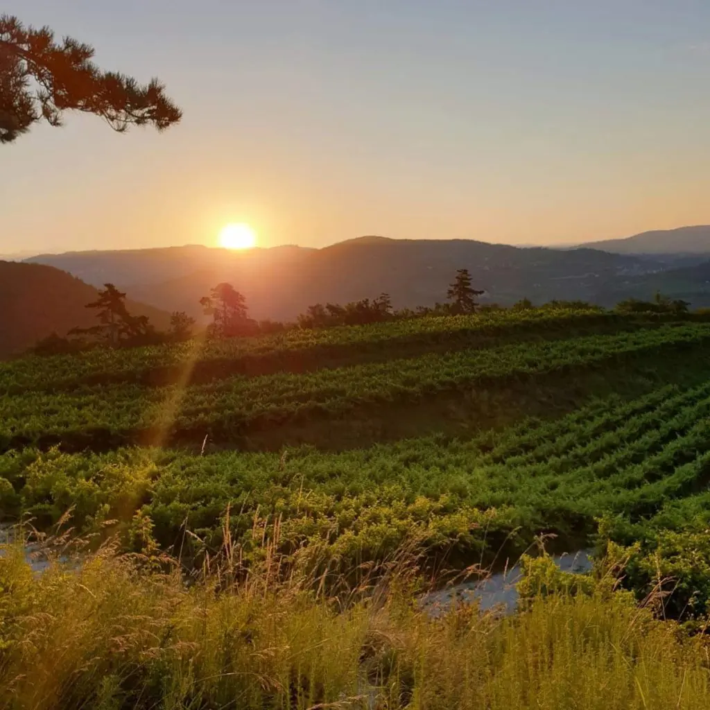 Wine and dine with Emilio Fidora of wine producer Fidora at a virtual Thursday night dinner.