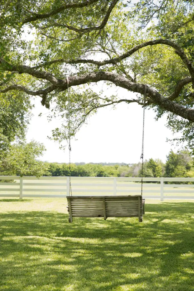 A sweet chariot at Armando and Cinda Palacios's farm. (Photo by Jenny Antill Clifton)