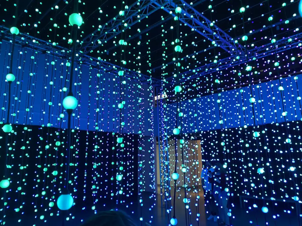 Austin Gets a New Art Wonderland — How Two Marines Created an Interactive, Instagram-Worthy Sensation
