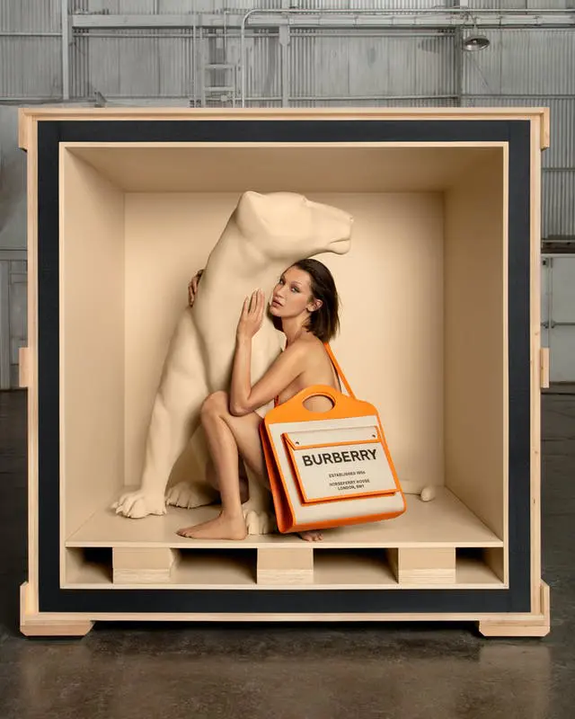 Burberry Pocket Bag (courtesy of Burberry:Inez and Vinoodh)