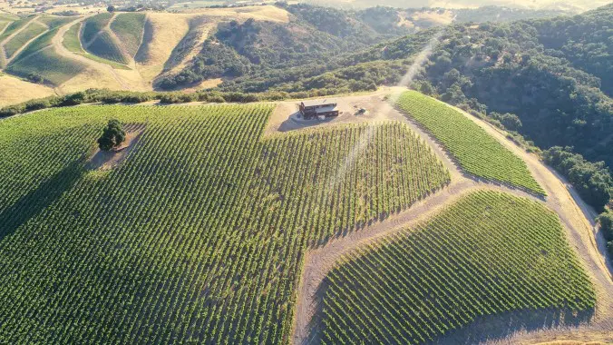 Lots of great Grenache, Syrah, and Mourvèdre is growing at Alta Colina.

