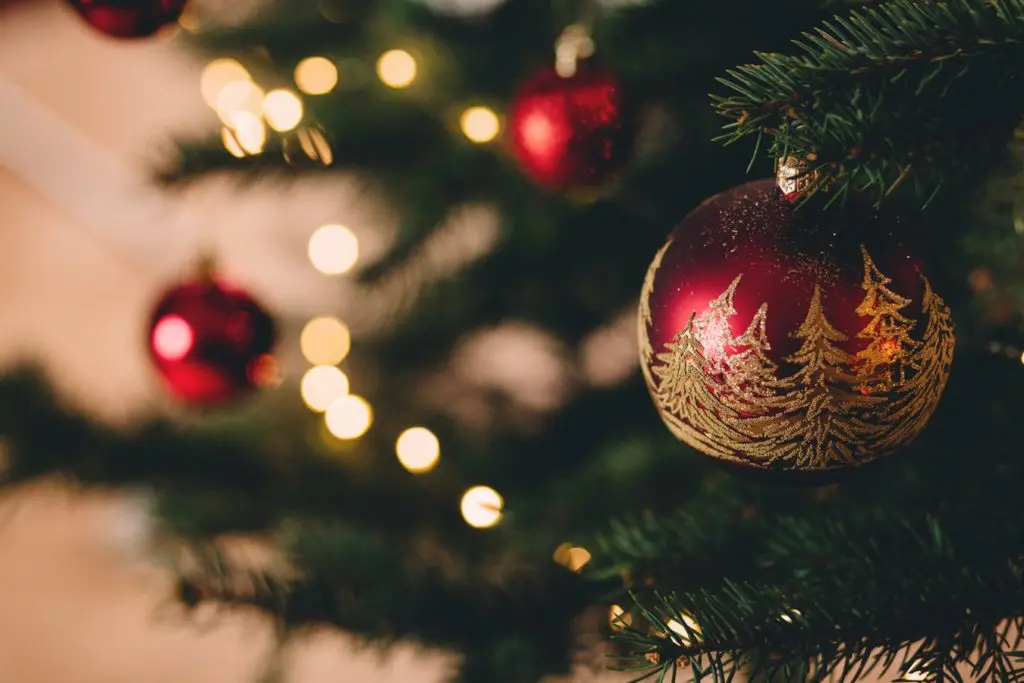 How to Give Back in Dallas-Fort Worth This Holiday Season