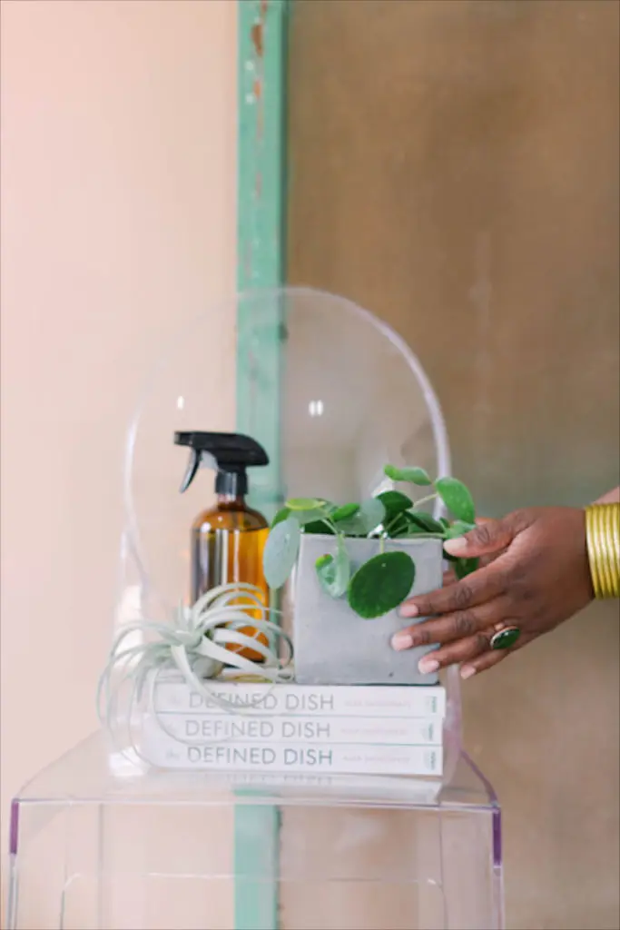 "Defined Dish" founder Alex Snodgrass helped encourage Bree Clarke to start The Plant Project. "She said, 'Bree, everybody loves plants. And everybody wants to learn about them,’” Clarke says. 