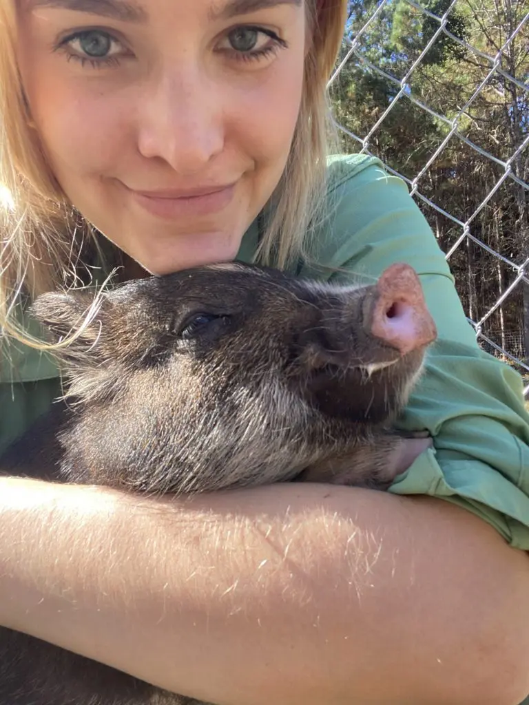 Frances Moody gives a hug to Piggy Smalls at Tony Buzbee's Antioch Buzbee Ranch in the piney forests of East Texas.