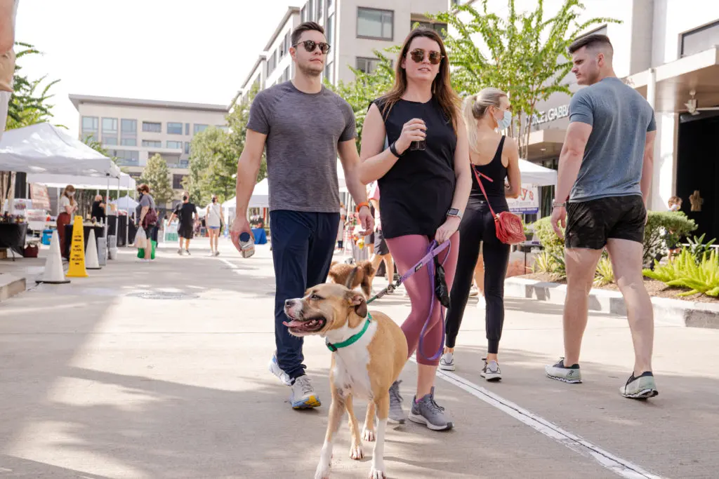 Dogs are welcome at the upscale farmers market held in River Oaks District the third Sunday of the month. (Photo by Michael Anthony)