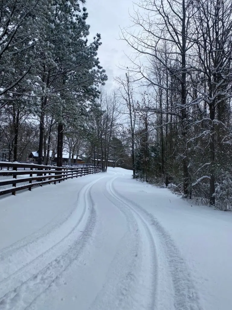While the snow from Winter Storm Uri was beautiful the energy grid fallout was not so pretty. (Photo courtesy of Antioch Ranch)