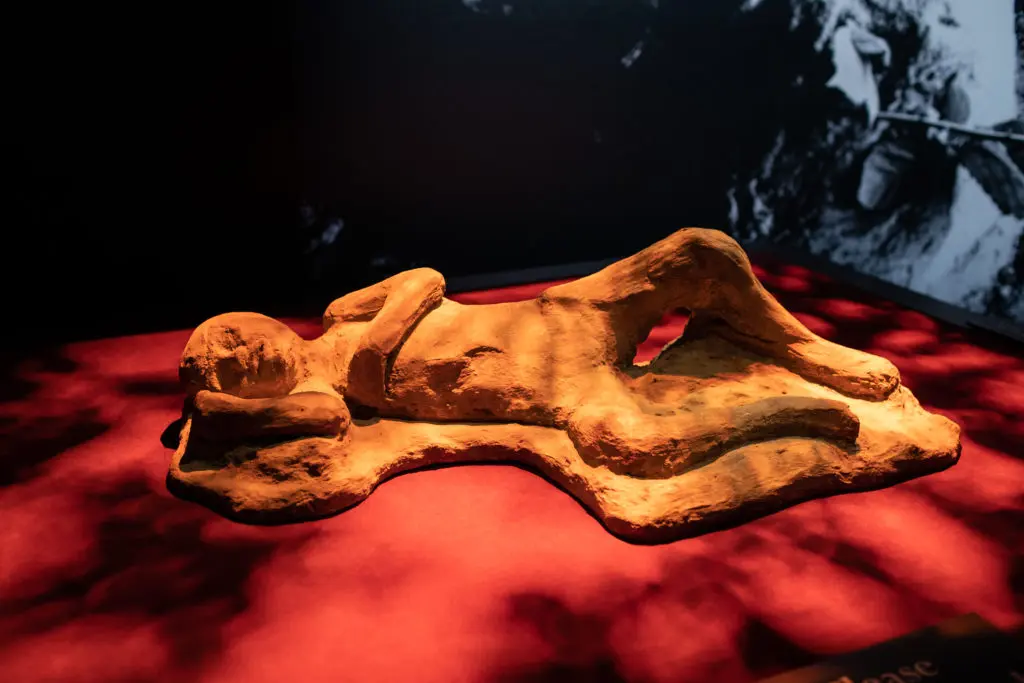 One of the eight body casts from the Pompeii: The Exhibition (Photo by Mike Rathke)