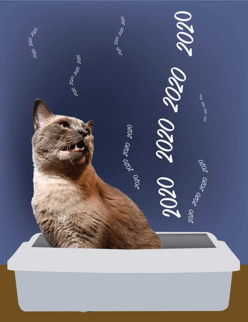 Even Larson's cat is disgusted at 2020: Stuart Larson's "2020 Stinks," 2020.