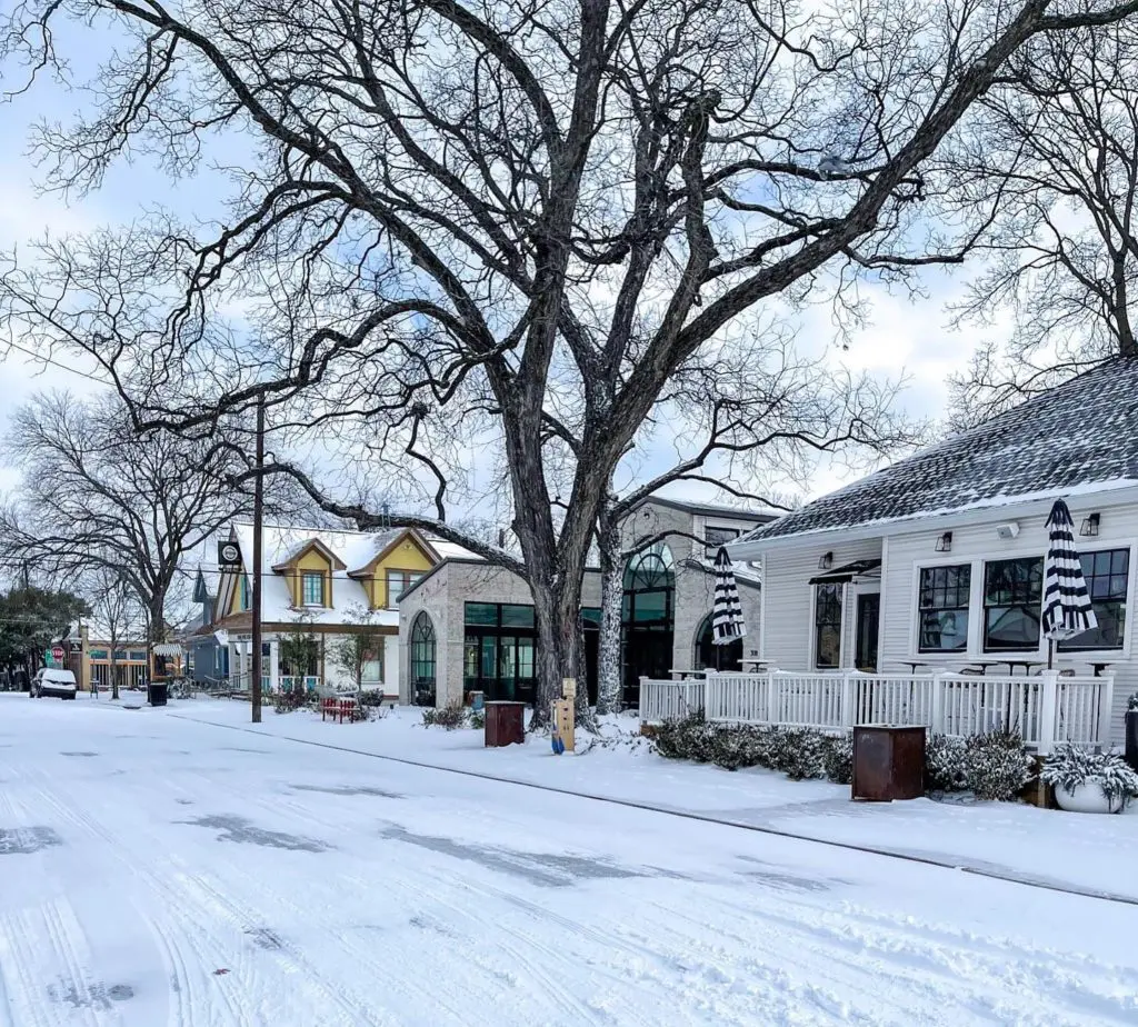 A Neighborhood Guide to Dallas Restaurants and Coffee Shops Currently Open During The Winter Storm