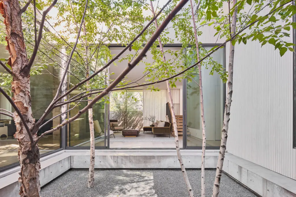 Mesa Design Group’s landscaping includes river birches and gravel in the courtyard. Sliding doors lead to the TV room. (Photo by Stephen Karlisch)