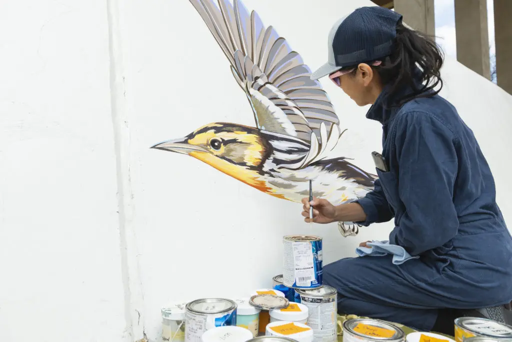 San Francisco-based artist Jane Kim of Ink Dwell works on 'Confluence,' a new public art installation along the banks of Houston's Buffalo Bayou. (Photo by Anthony Rathbun, Houston Parks Board)