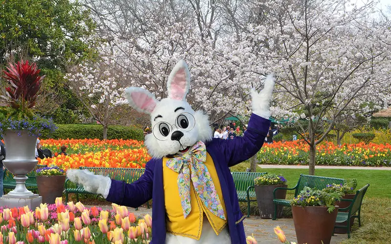 Dallas Arboretum Easter