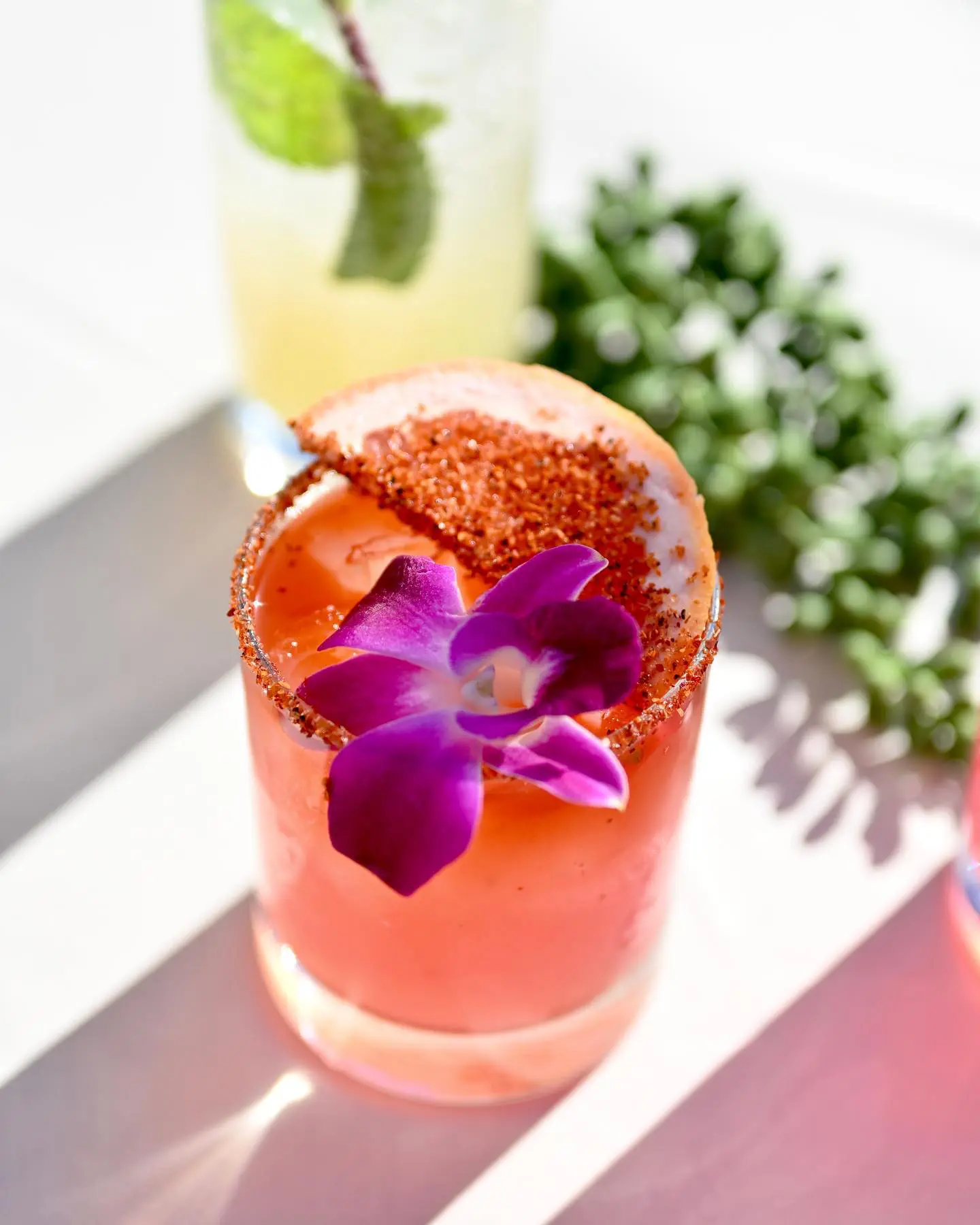 Ocho Latin Cuisine Dallas Restaurant Openings