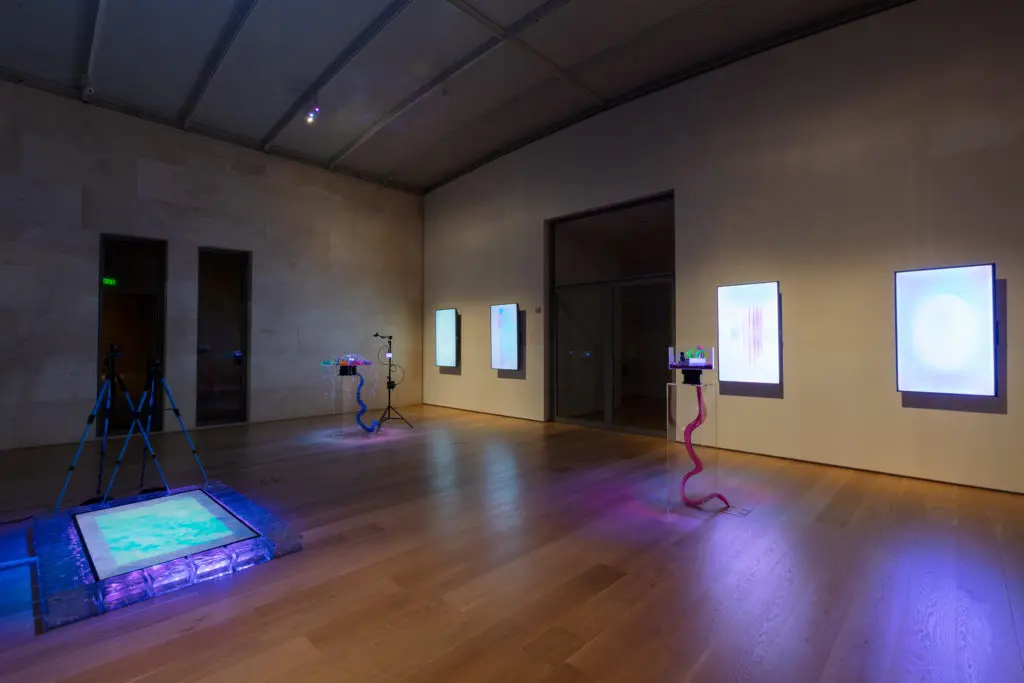 Melanie Clemmon's "Likes Charge, Light Tear" is the newest Nasher Public exhibit.