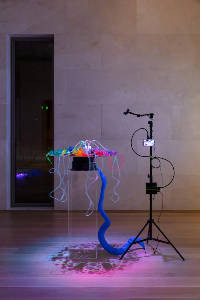 Melanie Clemmons' "Likes Charge, Light Tear" will be on display at the Nasher until April 25.