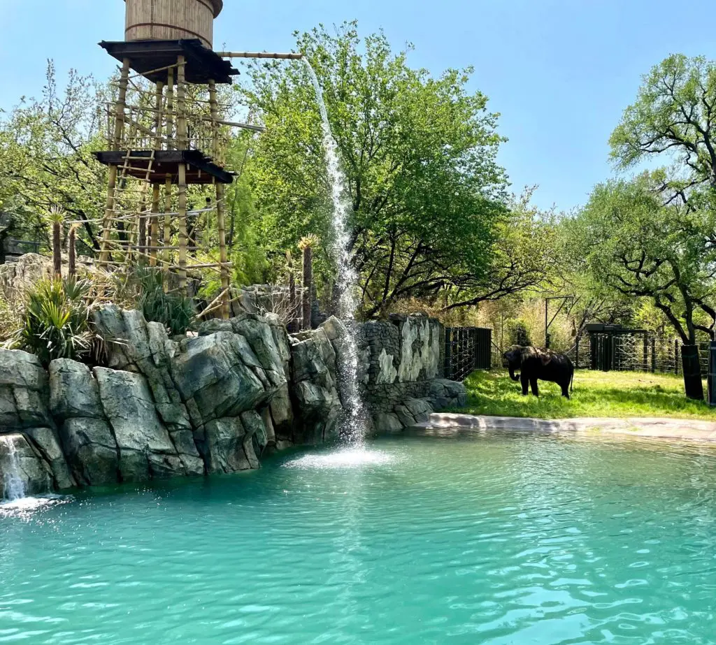The main pool holds 400,000 gallons of water. Photo by Courtney Dabney. 