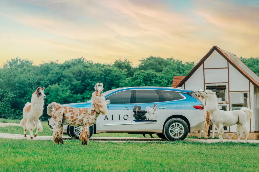 For Gray Malin's Dallas Alto Art Car, he featured the llamas with balloons that are on the cover of his new coffee table book.