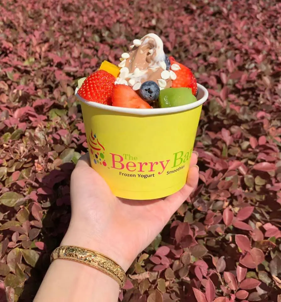 The Berry Bar serves fresh fruit smoothies, specialty lemonades and frozen yogurt.