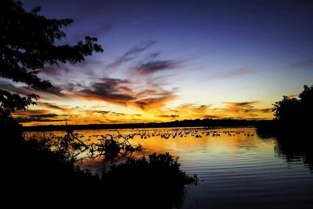 The Best North Texas Lakes to Kayak, Paddle Board, and Take a Sunset Cruise