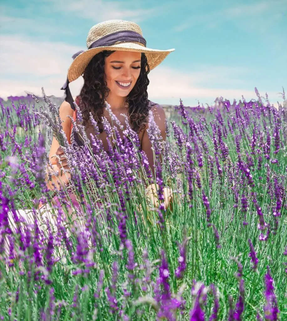 The Blanco Lavender Festival makes for some striking scenes.