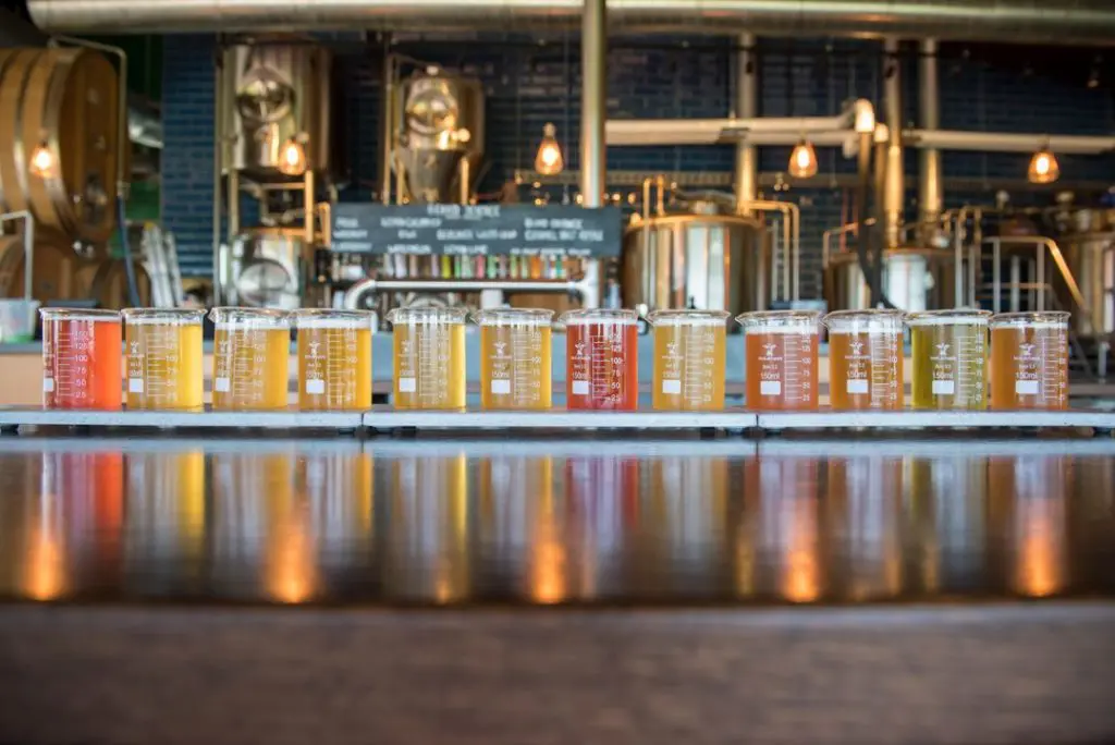 Second Rodeo Brewing will continue Jason Boso's love of beer, opening August in Mule Alley.
