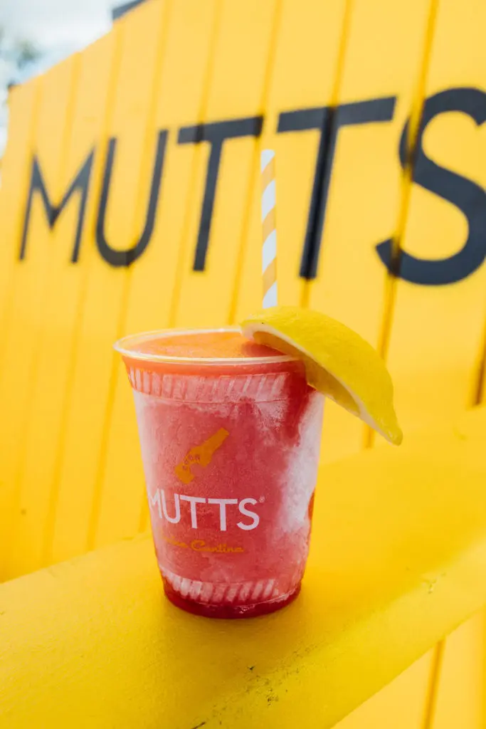 MUTTS Dallas