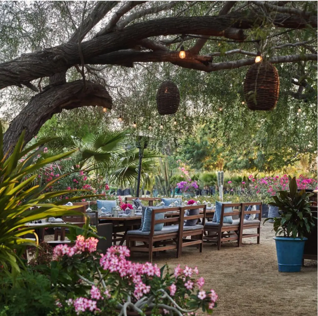 Costa Palmas Nursery Dinner