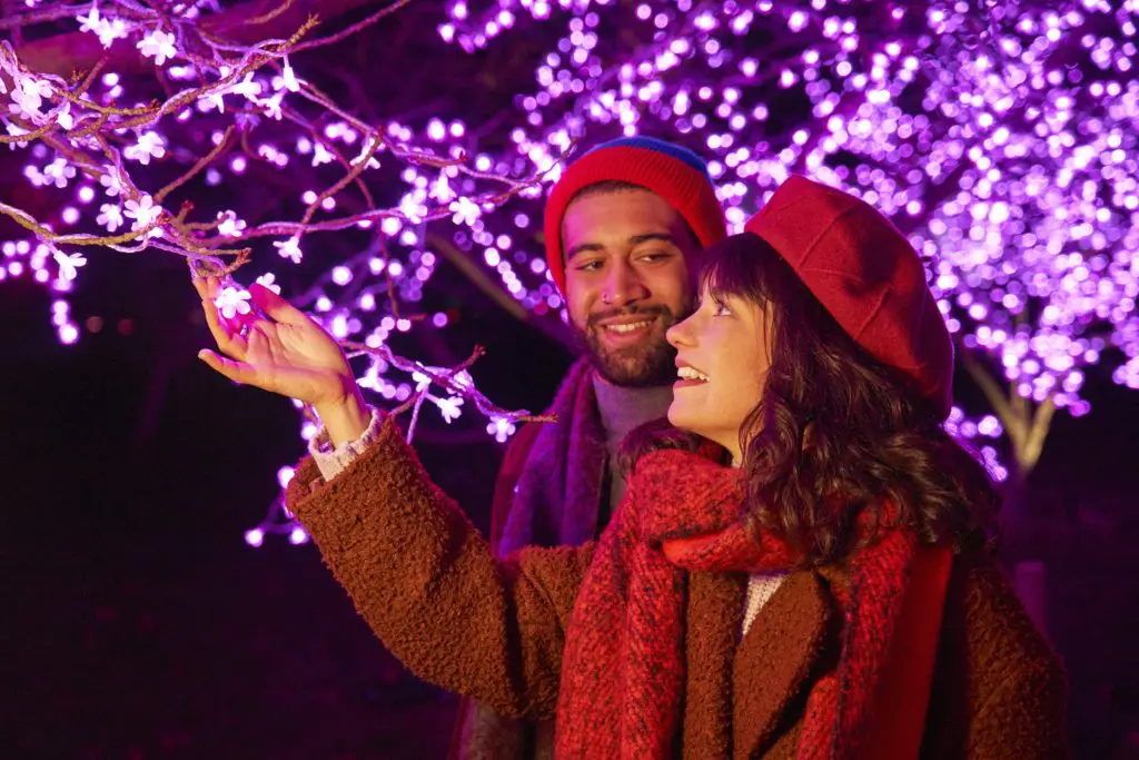Advance tickets are on sale now for the holiday Lightscape installation at Houston Botanic Garden.