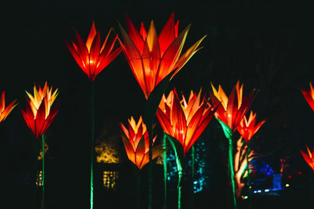 A full mile of shimmering light installations will beguile visitors to Lightscape in Houston Botanic Garden this holiday season.