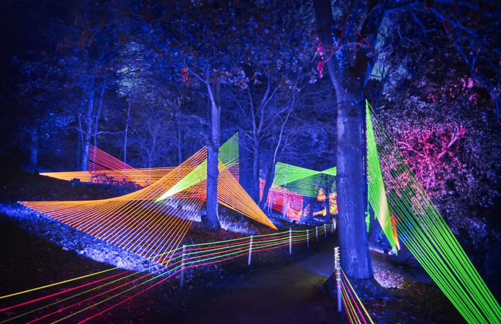 'Neon Strings' will be among the shimmering light displays during Lightscape at Houston Botanic Garden.