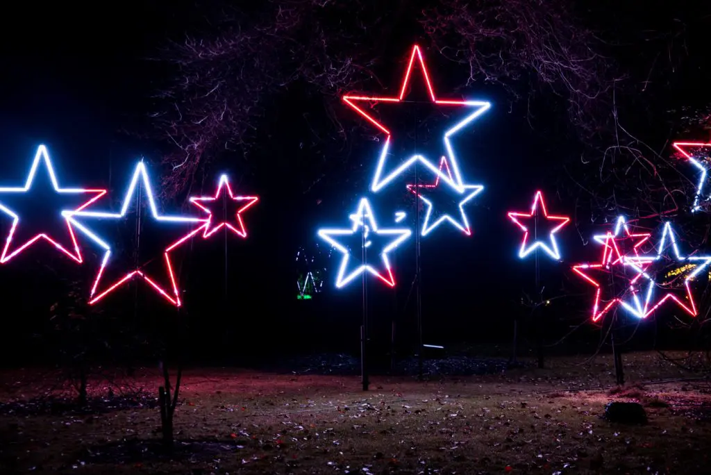 A field of stars will be shining bright when Lightscape lands at Houston Botanic Garden.