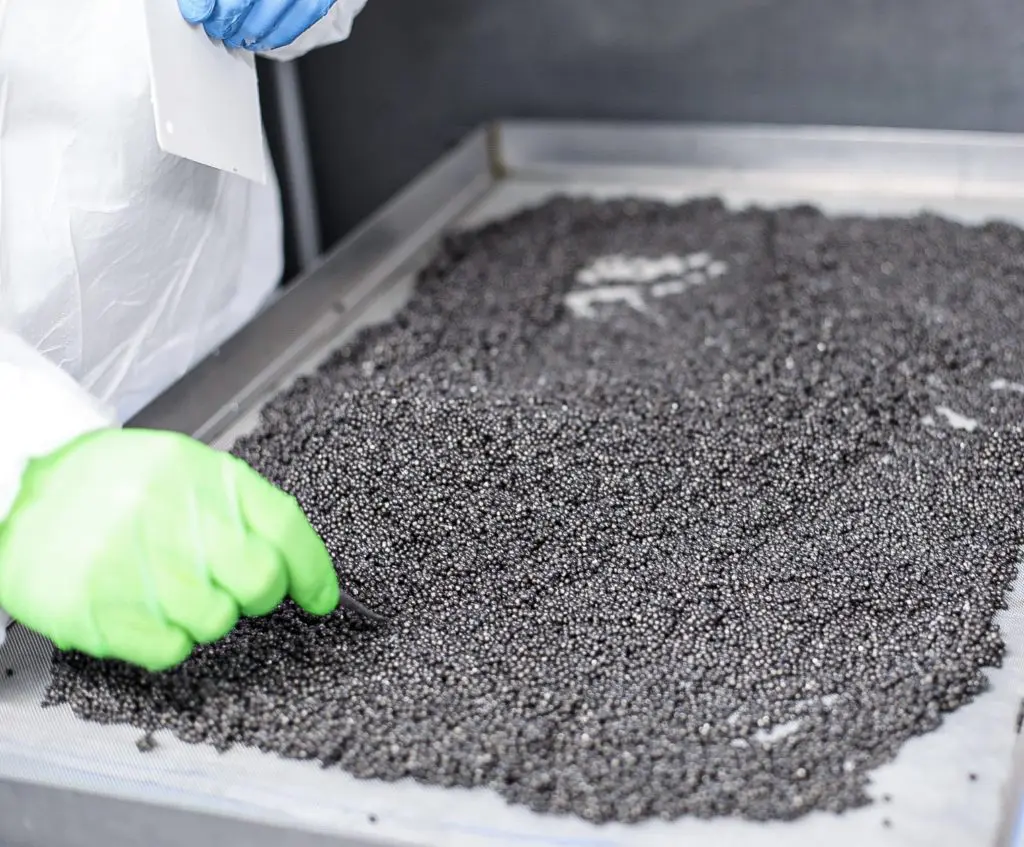 Vast amounts of sturgeon roe are carefully processed before placed in tins at the California Caviar Company for Berg Hospitality Group. (Photo by Carly Shuttlesworth)