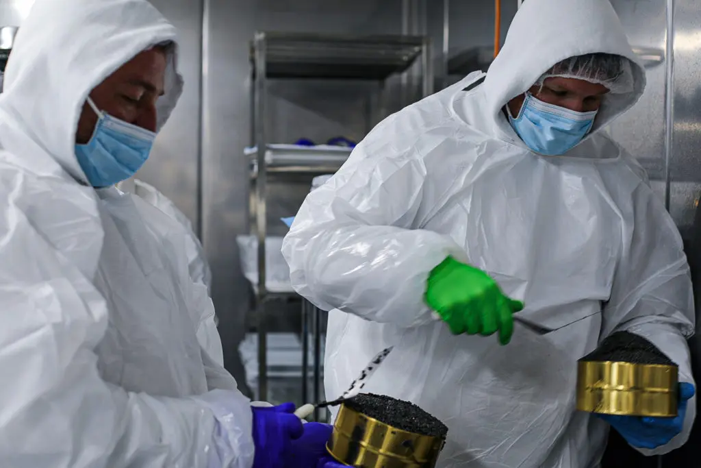 The team processes sturgeon roe at the  California Caviar Company, the roe soon to be transformed into caviar for Berg Hospitality Group in Houston. (Photo by (Photo by Carly Shuttlesworth)