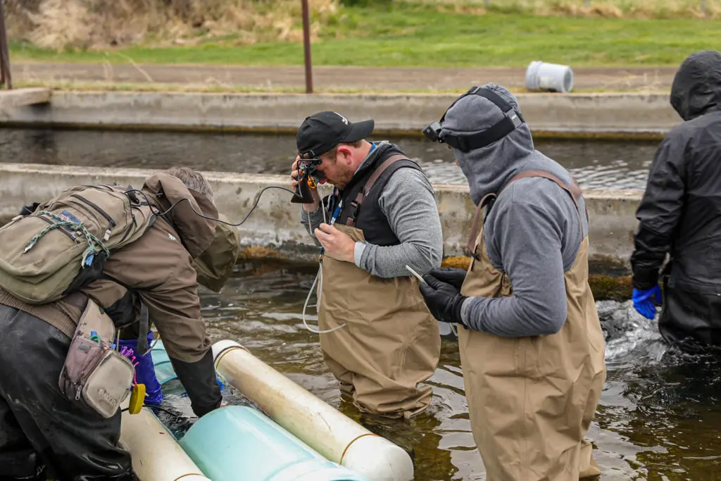 Berg Hospitality Group's Benjamin Berg and Sean Mohammed outfitted for catching white sturgeon at the California Caviar Company. (Photo by Carly Shuttlesworth)
