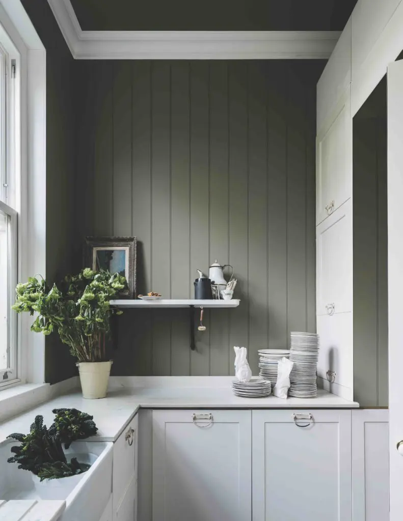 Treron dark gray-green by Farrow & Ball