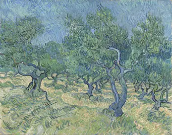 "Van Gogh and the Olive Groves" is on view at the DMA starting October 17.