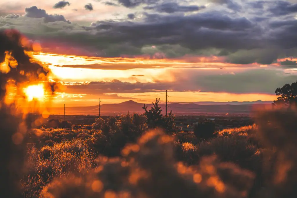 After spending a week road-tripping from Albuquerque to Santa Fe to Taos, we've rounded up the best of New Mexico.