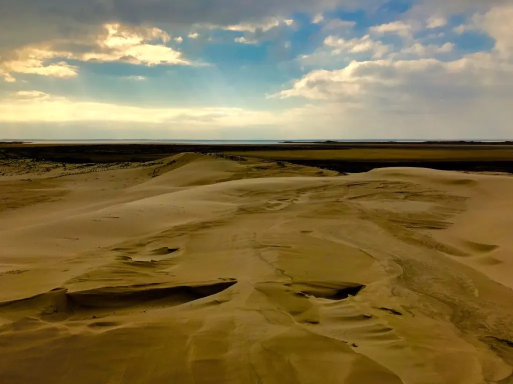 The changing topography of the Texas coast. 