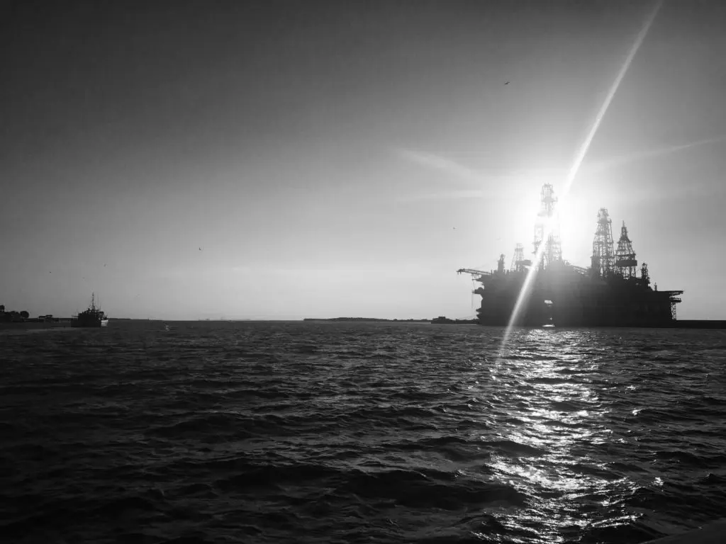 The Living Coast explores human engineering amid the nature world.  