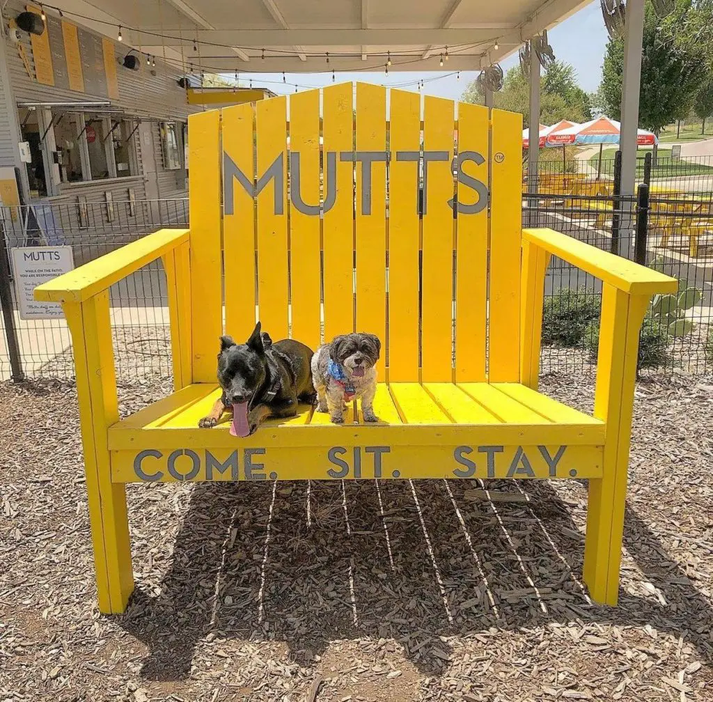MUTTS