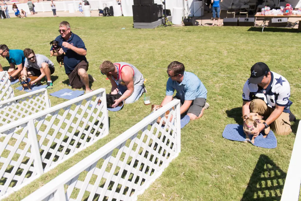 Dachshund races are an Oktoberfest tradition.