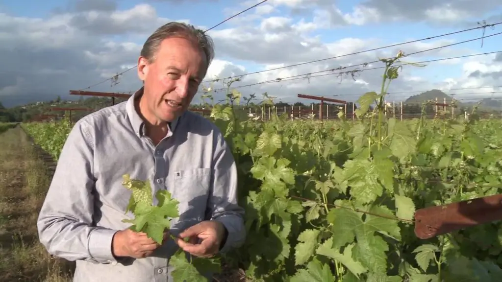 Nick Goldschmidt, who hails from New Zealand, has made wines across the globe. 