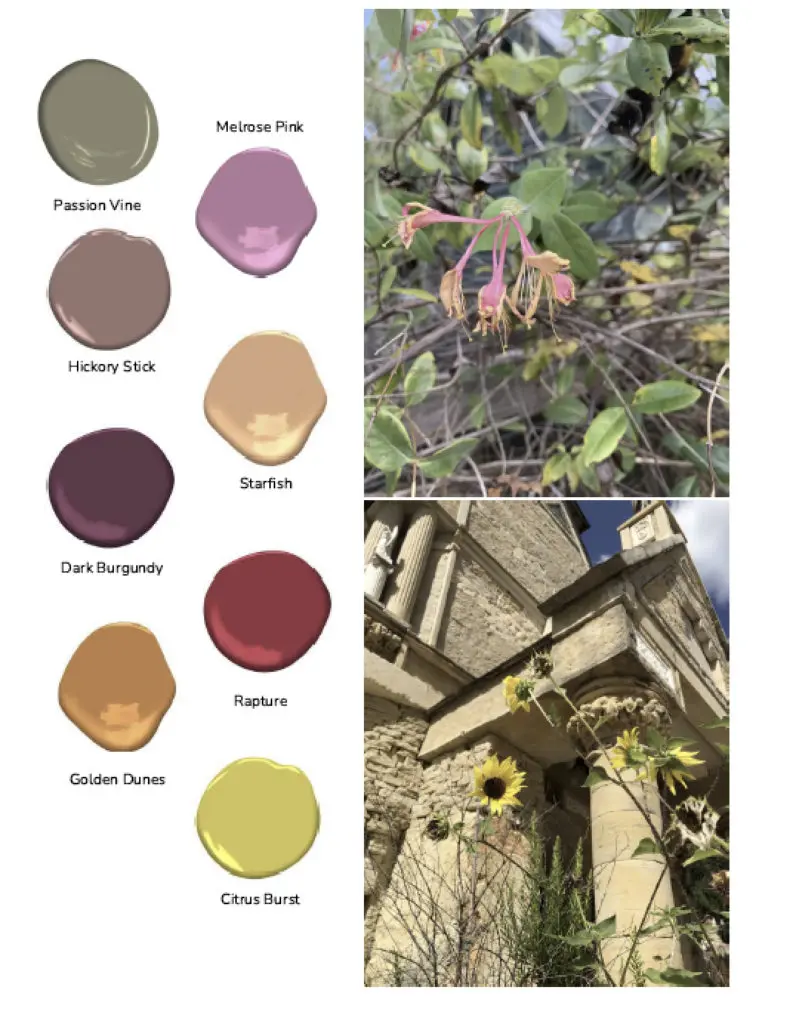 A nature-scape is mirrored in Benjamin Moore's Colors of Round Top Collection, which has its big reveal at The Halles on Wednesday, October 27, 2021. 