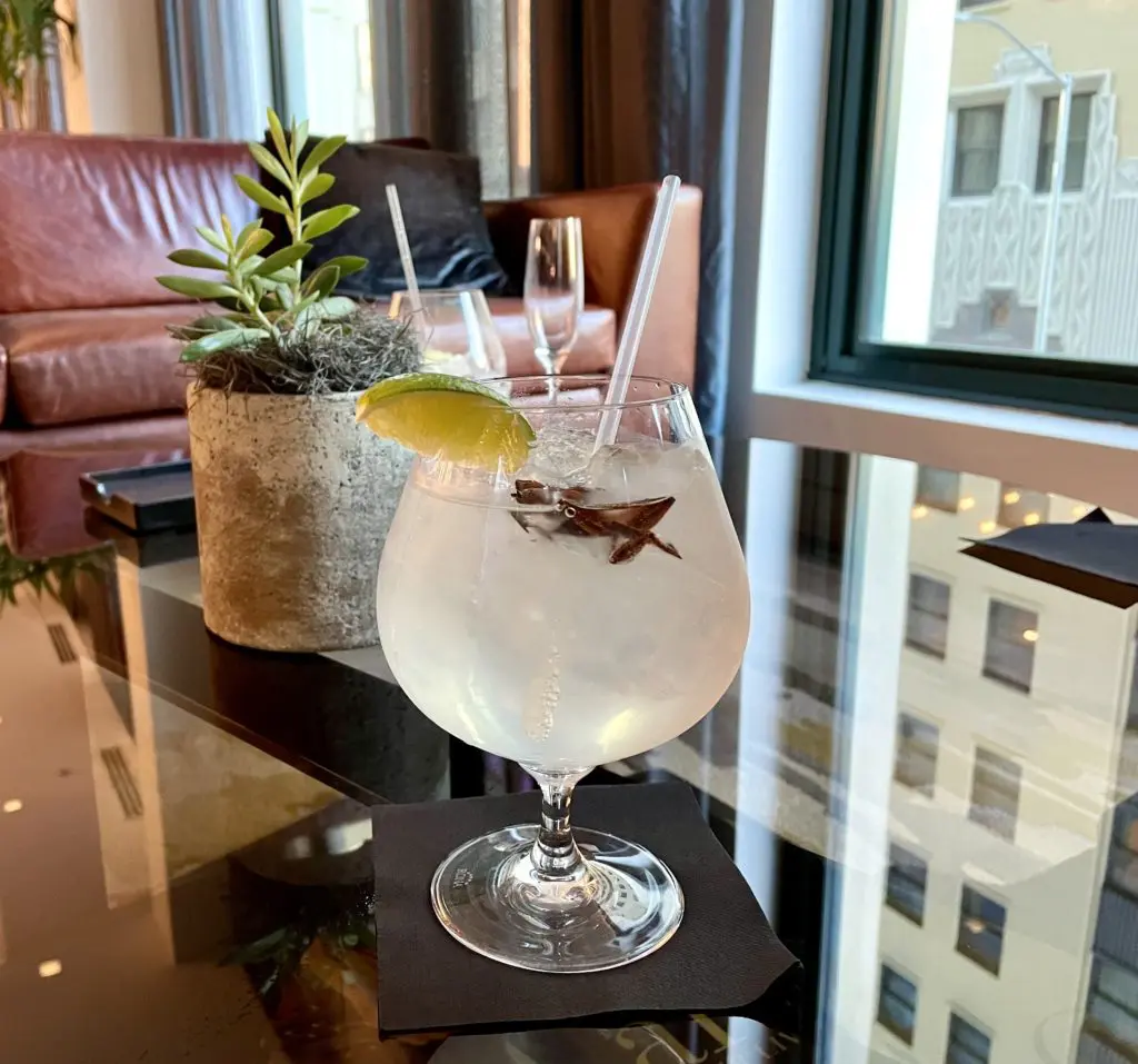Signature Gin and Tonic garnished with star anise. Photo by Courtney Dabney.