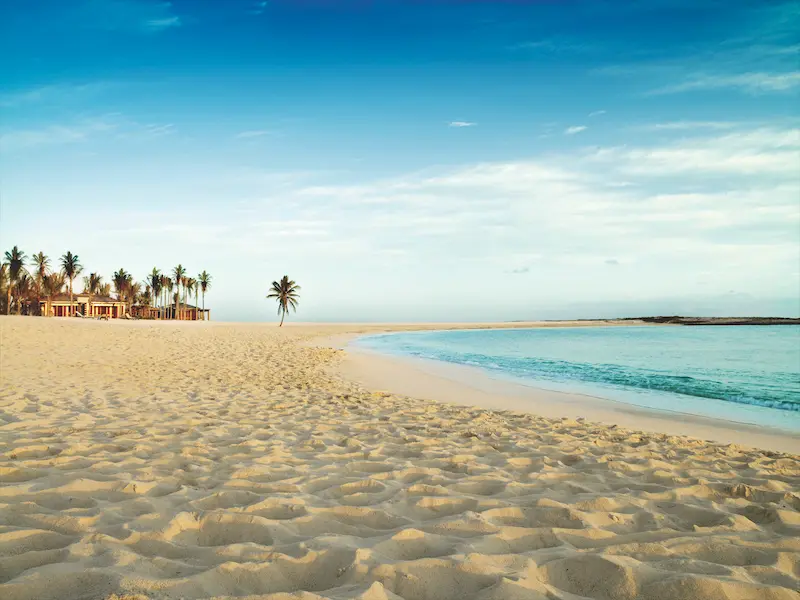 The Instagram-famous lone palm tree at the Atlantis is a bit of a Bahamas landmark. 