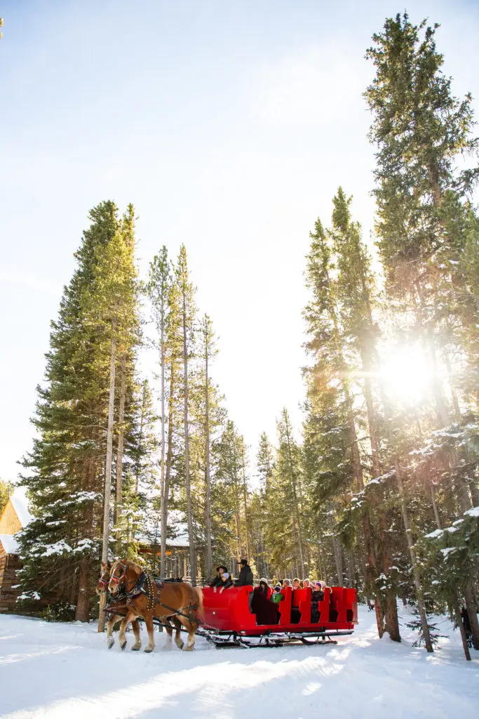 Sleigh ride in Breckenridge, Colorado (courtesy Breckenridge Tourism Office).